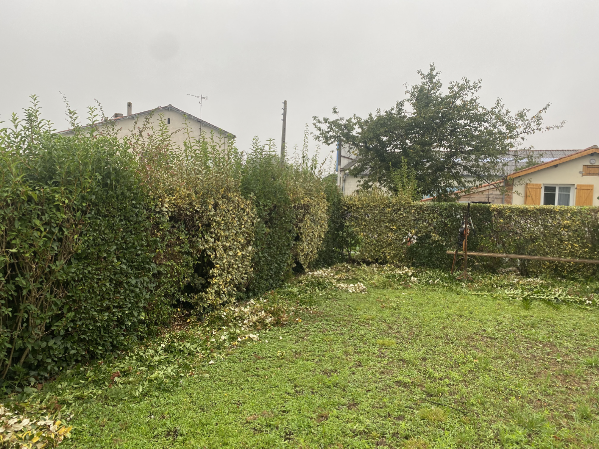 taille de haie revel